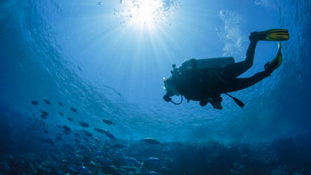 Diver swims with sun at his back